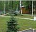 Фото в Недвижимость Коммерческая недвижимость Продам готовый, работающий, рентабельный в Нижнем Новгороде 25 000 000