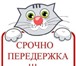 Изображение в Домашние животные Услуги для животных Возьму все хлопоты на себя за Вашим любимцем в Нижнем Новгороде 50