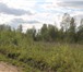 Изображение в Недвижимость Земельные участки ДНП "Новые Нелаи" открыло новую площадку!Расположение в Санкт-Петербурге 200 000