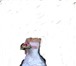 Изображение в Одежда и обувь Свадебные платья Продам эксклюзивное свадебное платье,  сшито в Новосибирске 12 000