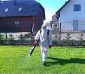 Фото в Прочее,  разное Разное Уничтожение комаров (дезинсекция) – при борьбе в Волгограде 600