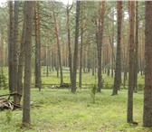 Изображение в Прочее,  разное Разное Шикарное место 300 соток рекреационной земли в Москве 4 700 000