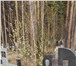 Изображение в Прочее,  разное Разное Наше ритуальное агентство специализируется в Екатеринбурге 0