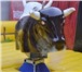 Фотография в Развлечения и досуг Разное Аттракцион «Бык Родео» марки «Rodeo bull в Москве 330 000