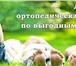 Изображение в Красота и здоровье Товары для здоровья Ортопедический салон «Мир здоровья» предлагает в Красноярске 0