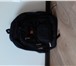 Фото в Одежда и обувь Разное Новый рюкзак. Черный цвет( швейцария). Ортопедический. в Липецке 1 000
