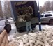 Foto в Авторынок Транспорт, грузоперевозки Организуем все виды переездов: квартирный, в Перми 250