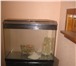 Foto в Домашние животные Рыбки изготовим аквариумы по вашим размерам  ! в Стерлитамаке 500
