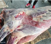 Фотография в Прочее,  разное Разное Мясо говядина в тушах-полутушах/четвертях в Екатеринбурге 205