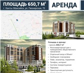 Фотография в Недвижимость Коммерческая недвижимость Сдаются в аренду новые помещения свободного в Ханты-Мансийск 600
