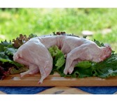 Фотография в Прочее,  разное Разное Мясо кролика замороженное в тушках, 1 - первой в Хабаровске 400