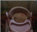 Изображение в Для детей Детская мебель Продам детские ходунки в хорошем состоянии, в Щелково 1 500