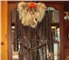 Foto в Одежда и обувь Женская одежда Продам дубленку женскую,  б/у,  незаношенную, в Самаре 1 500