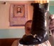 Изображение в Одежда и обувь Женская обувь Продам женскую обувь,в хорошем состояние,туфли в Омске 3 000