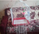 Изображение в Домашние животные Товары для животных Продаётся клетка для попугая. Габариты – в Санкт-Петербурге 2 000