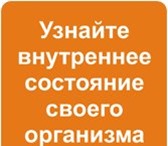 Изображение в Красота и здоровье Похудение, диеты Акция! В рамках проекта &laquo;Школа правильного в Волгограде 0