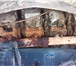 Фото в Авторынок Бескапотный тягач продам МАЗ седельный тягач, в хорошем состоянии. в Тюмени 600 000