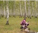 Foto в Для детей Детские коляски Продам коляску трансформер бордово-розового в Челябинске 3 500