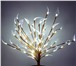 Фото в Мебель и интерьер Светильники, люстры, лампы Светодиодная флористика, так популярная в в Рязани 800