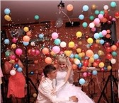 Foto в Развлечения и досуг Организация праздников Организация и проведение свадеб в городе в Мценск 0