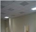 Фотография в Строительство и ремонт Ремонт, отделка Комплексный ремонт офисных помещений, ремонт в Екатеринбурге 1 000