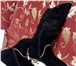 Фото в Одежда и обувь Женская обувь сапоги женские, новые, фирмы Vitacci полностью в Нальчике 3 700