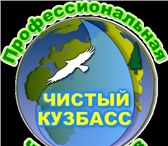 Изображение в Прочее,  разное Разное Профессиональная чистка ковров в Кемерово в Кемерово 100