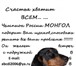 Foto в Домашние животные Вязка собак Такса стандартная гладкошёрстная КОБЕЛЬ, в Энгельсе 555