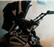 Фотография в Для детей Детские коляски Продается коляска-трансформер зима-лето TAKO в Краснодаре 4 500