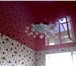 Фотография в Строительство и ремонт Ремонт, отделка Натяжные потолки в Краснодаре и Краснодарском в Краснодаре 300