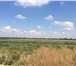 Фото в Недвижимость Земельные участки Продаю земельный участок - 283 соток в Фестивальном в Краснодаре 215 000 000