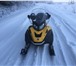Фото в Авторынок Снегоход BRP Ski-Doo Skandic WT 600 H.O. E-TEC Снегоход в Ханты-Мансийск 600 000