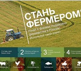 Изображение в Недвижимость Земельные участки Земля в п. Красный Яр, Уфимский район, Красноярский в Уфе 1 500 000