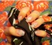 Фото в Красота и здоровье Косметические услуги Наращивание ногтей в Новосибирске Любая форма в Новосибирске 800
