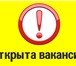 Изображение в Работа Работа для студентов Требования: Амбициозность,ответственность,нацеленность в Санкт-Петербурге 23 000