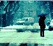 Foto в Прочее,  разное Разное Юрист по автомобильным спорам оказывает правовую в Самаре 300