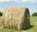 Фотография в Домашние животные Товары для животных продам сено в рулонах по 200кг, само вывоз, в Нижнем Тагиле 500