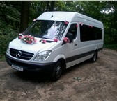 Foto в Прочее,  разное Разное Предлагаю услуги микроавтобуса

1) Свадебное в Нижнем Новгороде 50