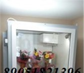 Фотография в Электроника и техника Холодильники Холодильник для цветов с холодильным агрегатом в Нижнем Новгороде 98 000