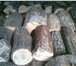 Фото в Строительство и ремонт Строительные материалы Продаем дрова не колотые и колотые. Дубовые в Самаре 1 500