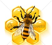 Изображение в Красота и здоровье Товары для здоровья Подмор пчелиный и прополис в Кемерово 8 902 в Кемерово 350