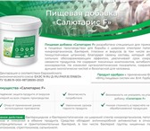 Фото в Прочее,  разное Разное "Пищевая добавка «Салютарис F» разработана в Москве 7 000