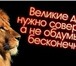 Изображение в Компьютеры Компьютерные услуги Требования к кандидату:- активная жизненная в Красноярске 30 000