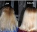 Фотография в Красота и здоровье Салоны красоты Стрижки и окрашивание волос любой сложности в Ставрополе 500
