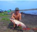 Изображение в Хобби и увлечения Рыбалка Мы предлагаем вам платную рыбалку на пруду в Саратове 300