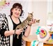 Фото в Домашние животные Услуги для животных Уважаемые любители кошек! Приглашаем Вас в Владивостоке 0