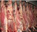 Foto в Прочее,  разное Разное ООО Мясной регион предлагает мясо , мясную в Москве 10