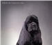 Фото в Домашние животные Стрижка собак Профессиональный груминг и стрижка собак в Мурманске 1 000