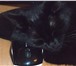 Фото в Домашние животные Вязка Черная - причерная, волшебная кошка, ищет в Улан-Удэ 0
