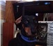 Фото в Домашние животные Вязка собак Элитный кабель такса стандарт цвет ( чёрный-подпал в Москве 5 000